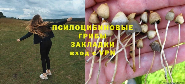 mdpv Коряжма