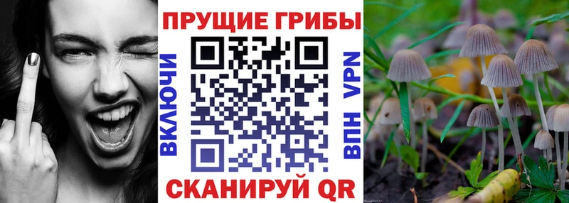Псилоцибиновые грибы MAGIC MUSHROOMS  Купить  Мыски 